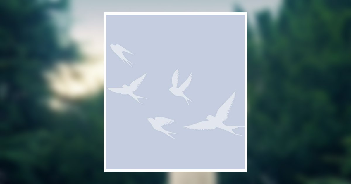 Nita Haney Obituary March 1, 2026