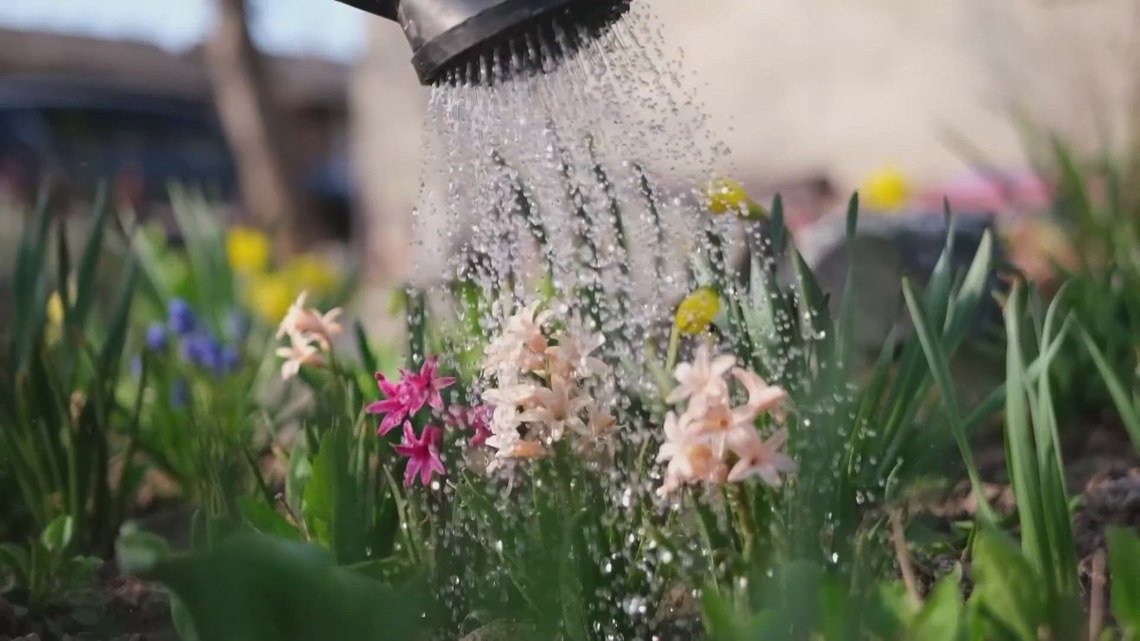 Spring starts in San Antonio yards before summer takes over
