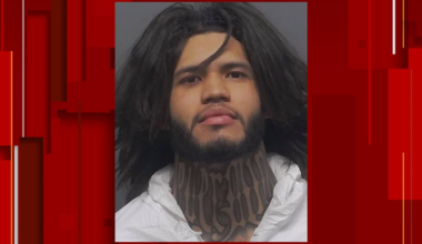 Man convicted of stabbing his 81-year-old partner to death receives 40-year prison sentence