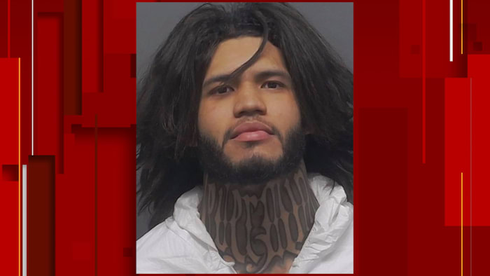 Man convicted of stabbing his 81-year-old partner to death receives 40-year prison sentence