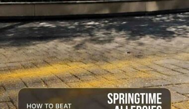 How to Survive Spring Allergy Season Without Breaking the Bank.