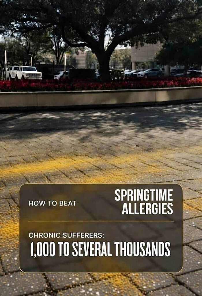 How to Survive Spring Allergy Season Without Breaking the Bank.