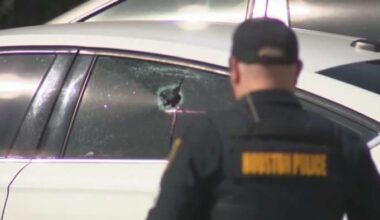 Woman faces felony charges for hindering arrest of Houston murder suspect