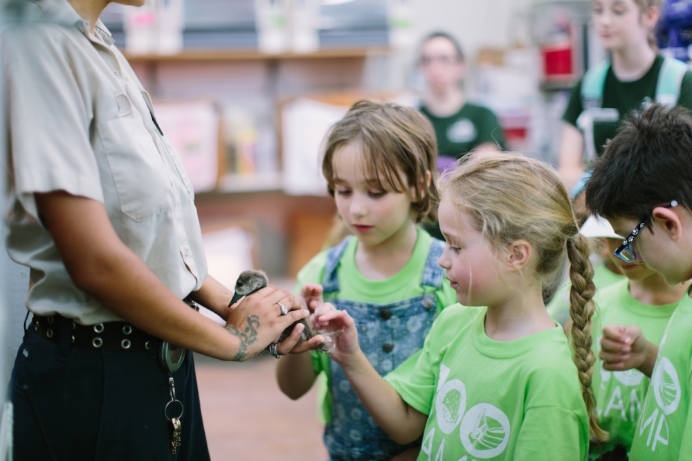 The San Antonio Zoo will host four and five-day summer camps throughout the summer. (Courtesy San Antonio Zoo)