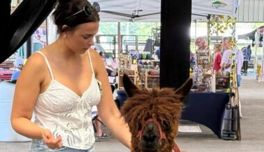 Montgomery County Market Days will feature a variety of local vendors offering items such as handmade goods, boutique clothing, artisan foods and more. (Courtesy Montgomery County Market Days)