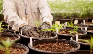 Texas Original opened a new satellite location near Alamo Heights, serving the entire city. (Courtesy Texas Original)