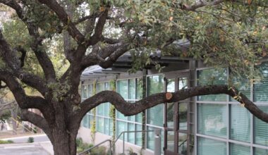 The firm's main offices are located in San Antonio at 7898 Broadway, Ste. 120. (Andrew Creelman/Community Impact)