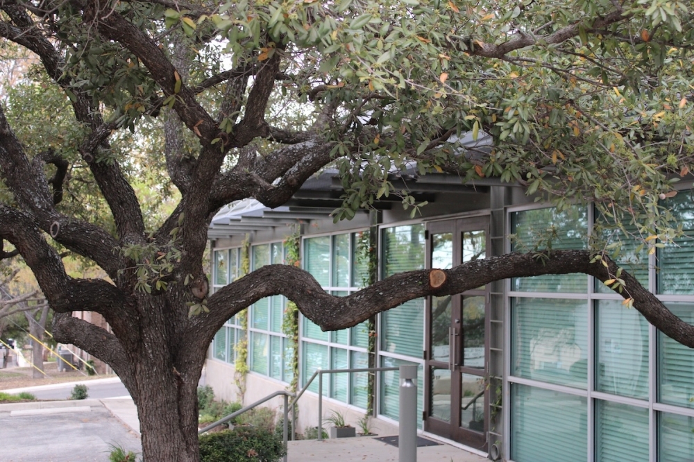 The firm's main offices are located in San Antonio at 7898 Broadway, Ste. 120. (Andrew Creelman/Community Impact)