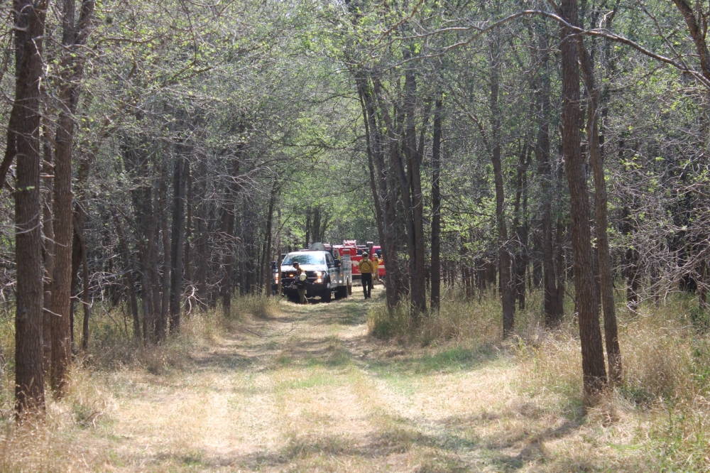 A photo of Southeast Metropolitan Park with a fire truck in the background