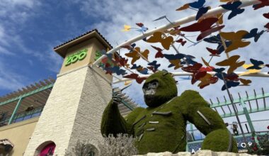 The front of the San Antonio Zoo with a gorilla statue and butterflies flying above it.