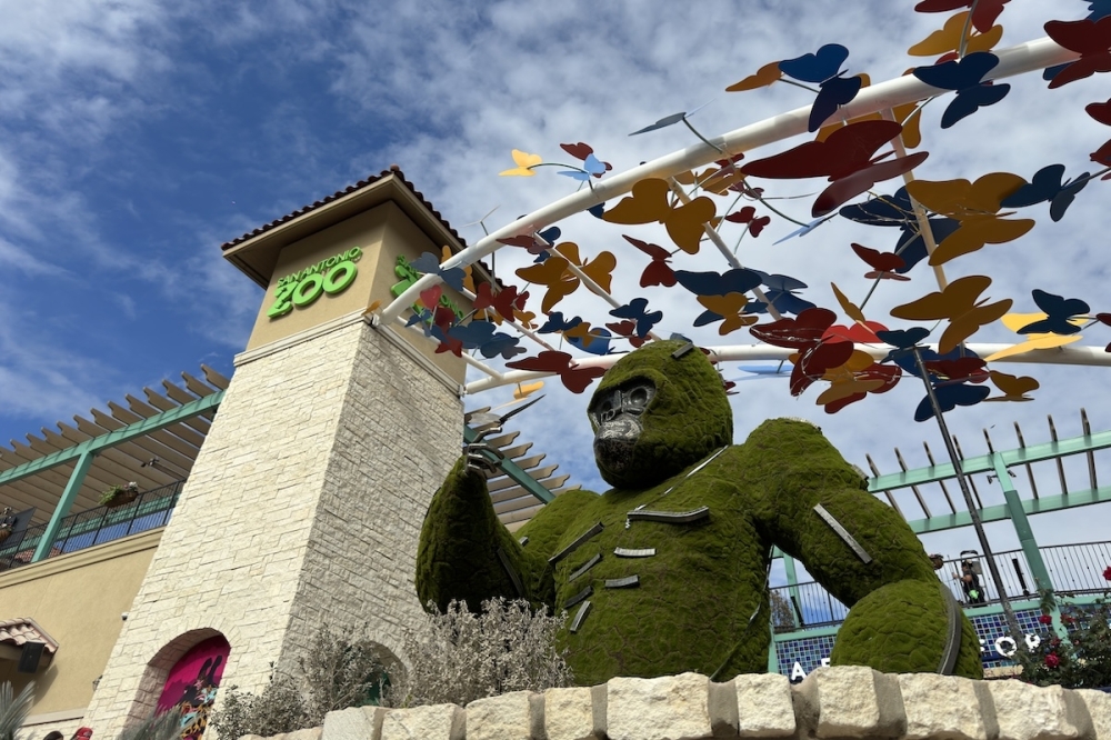The front of the San Antonio Zoo with a gorilla statue and butterflies flying above it.