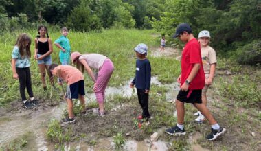 Kids in a grassy area
