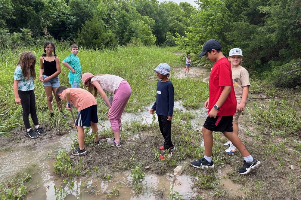 Kids in a grassy area