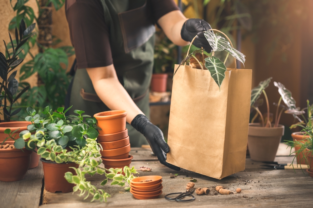 North Austin Plant Company, a boutique seller of rare houseplants, has leased space in Pflugerville’s Martin Lane Biz Park, according to Resolut Re. (Courtesy Adobe Stock)