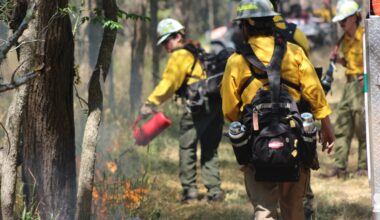 Firefighters conduct a prescribed burn