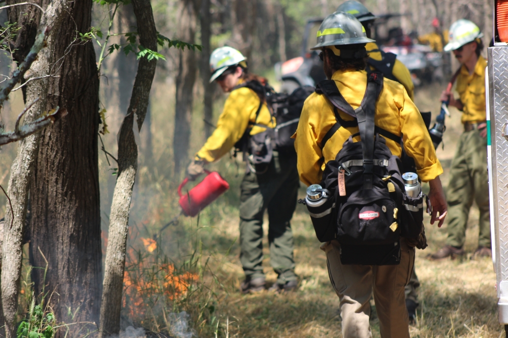 Firefighters conduct a prescribed burn