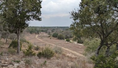 A ribbon-cutting ceremony for the 175-acre Karst Canyon Preserve in the Greater Jacob's Well Natural Area was held March 27. (Courtesy Hays County)