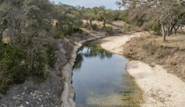 Rock Bluff Ranch planes to bring 2,375 homes on a previously undeveloped site east of County Road 245 and north of Ronald Reagan Boulevard. (Courtesy Freehold Capital Management)