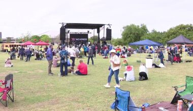 No Kings Day: Protests in Austin, Central Texas