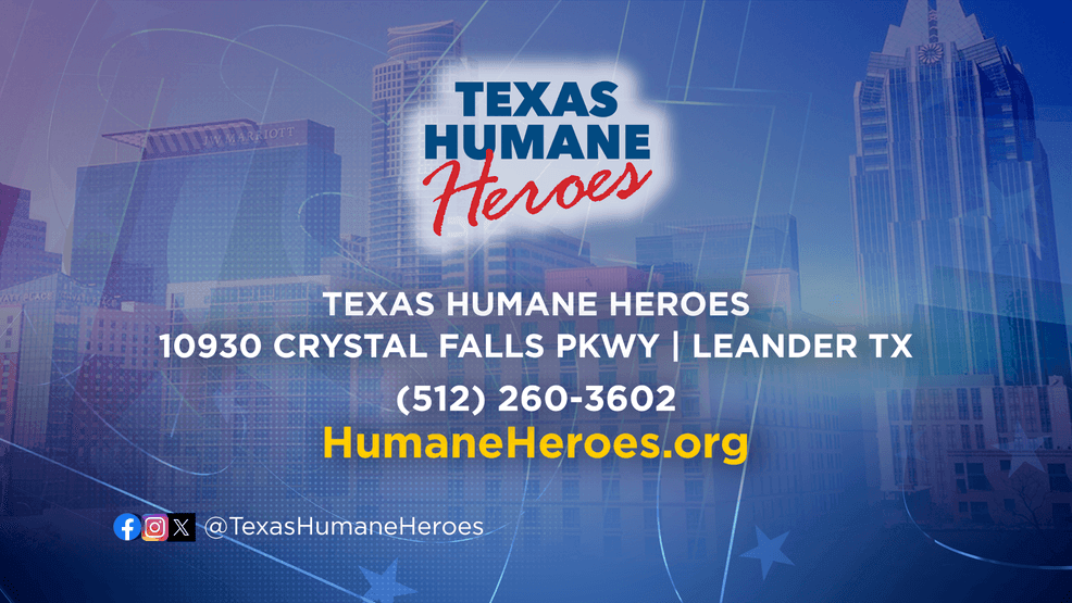 Wednesday Friendsday! Meet Archer, the three-legged charmer from Texas Humane Heroes