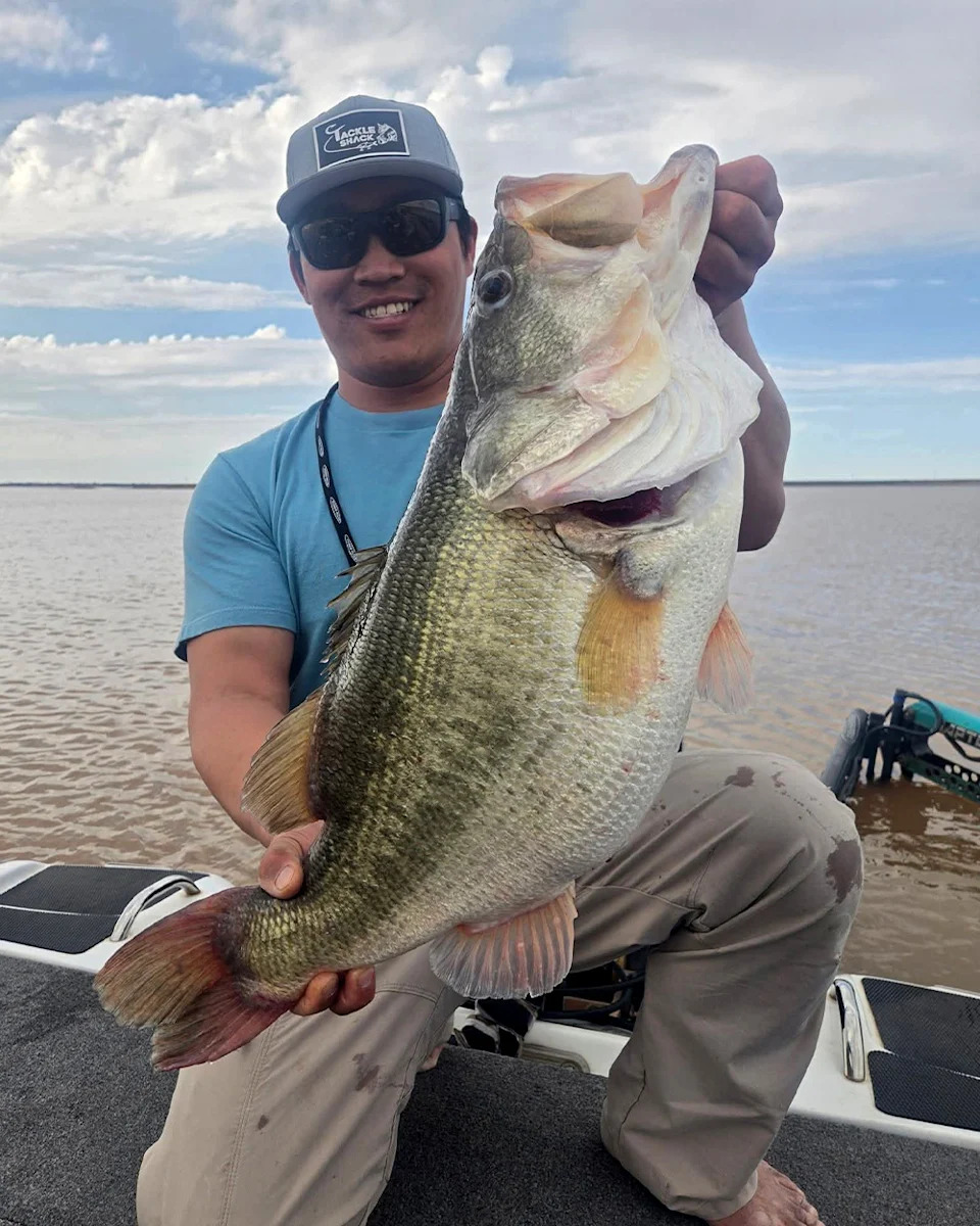 A bass angler holds up a huge largemouth.