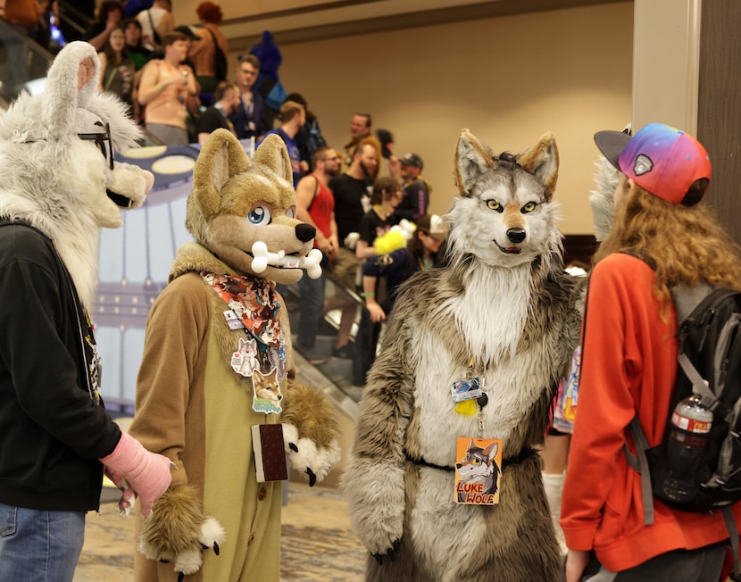 Convention guests chat during the Furry Fiesta convention at the Sheraton Dallas Hotel in...