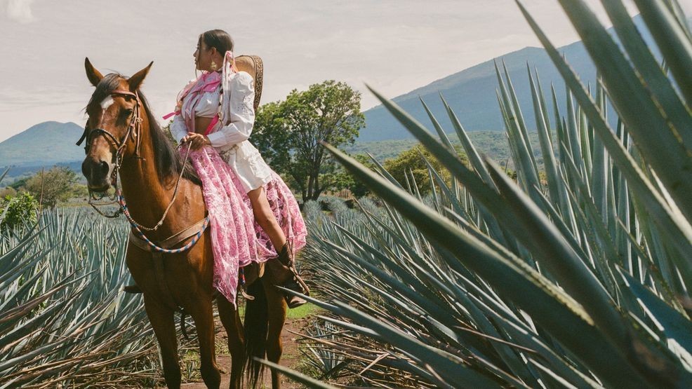 “You can definitely expect the unexpected,” Daniela said. “The album blends mariachi with cumbia, and some songs mix in funk, R&B, hip-hop, and even indie influences. I wanted to take mariachi and combine it with all these different genres to create a bold new sound.”