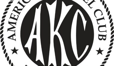 French Bulldog Lassos The Title of Most Popular Breed In Houston