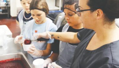 Student-created menus big hit at OES