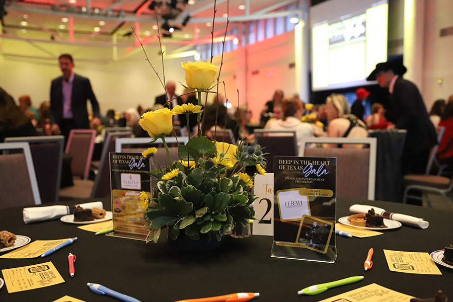 Year of change at 5 Loaves as gala approaches