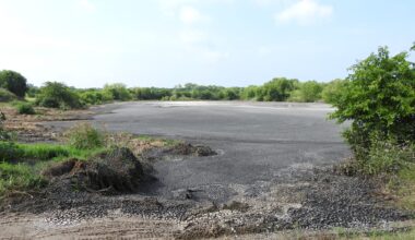 Oil leak closed birders’ beloved drying beds. Fort Worth to sue for millions in damages