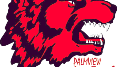 Palmview Beats Corpus Christi Veterans Memorial for Their 18th Straight Victory