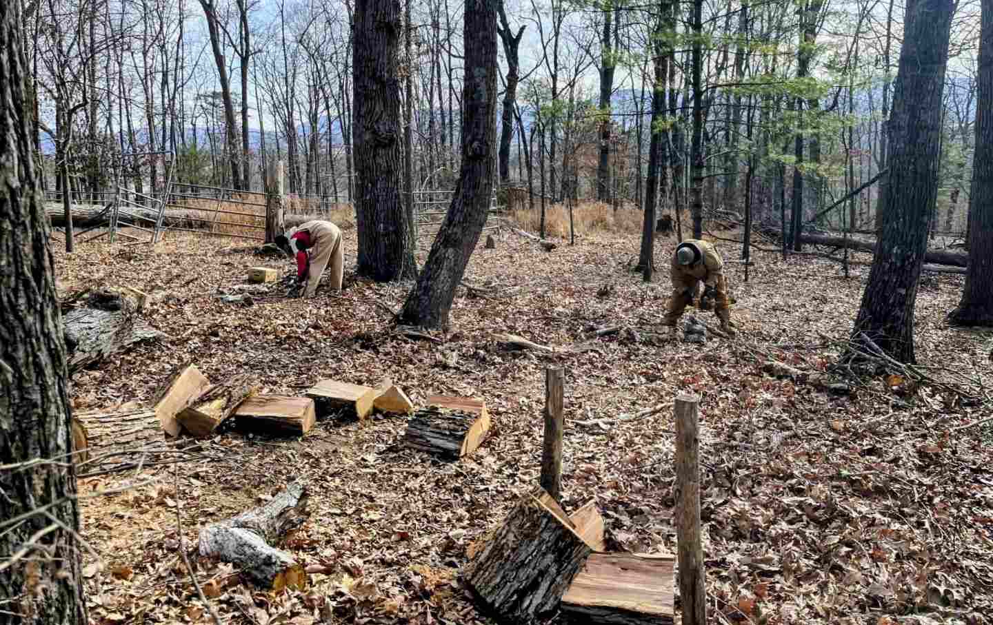 Community Works volunteers chopping firewood to deliver to local residents in Luray, Virginia, in January.