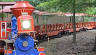 Man hospitalized after being hit by Hermann Park train, Houston Fire Department says