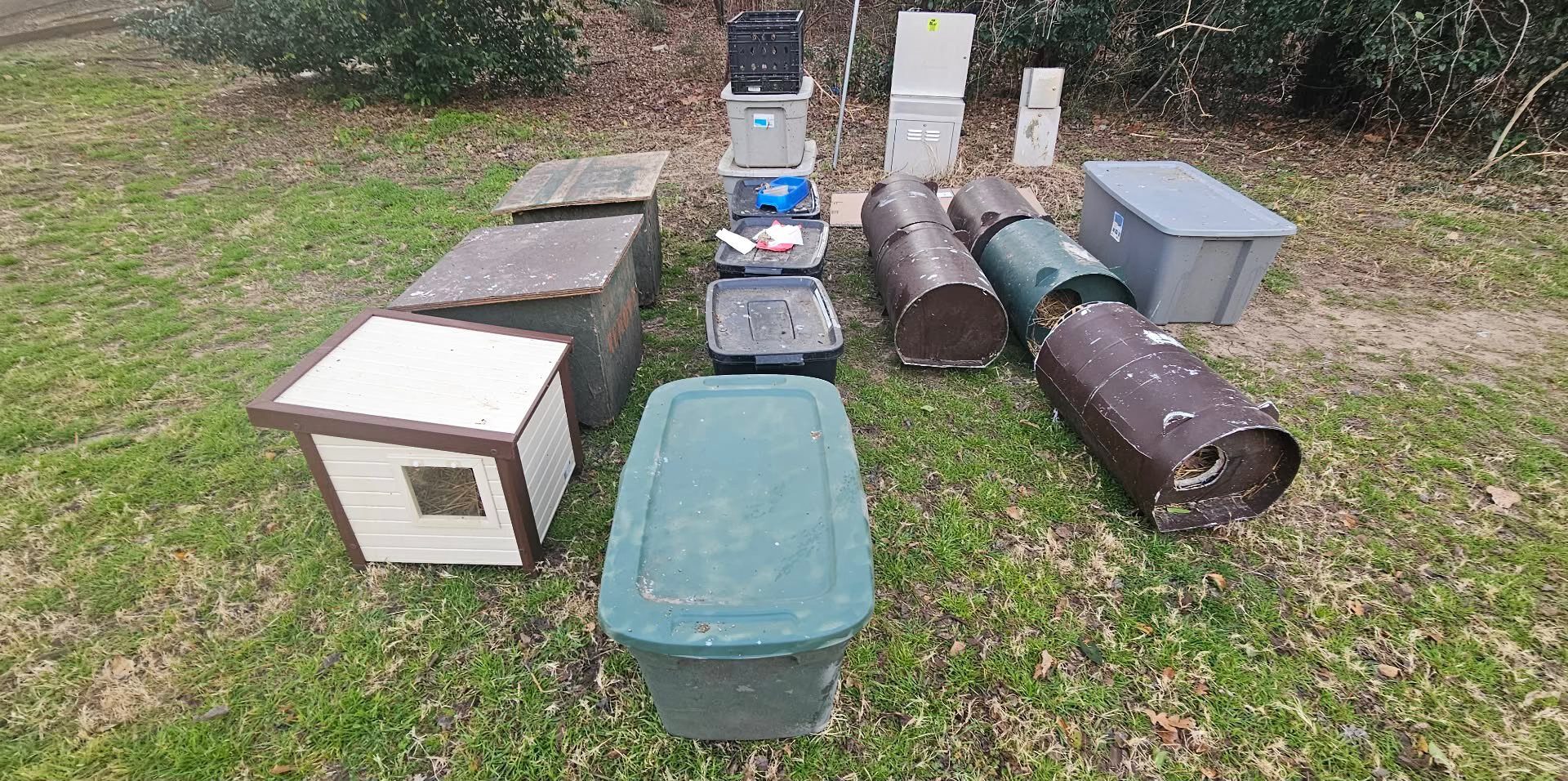 Crackdown on Unauthorized Cat Feeders Along Turtle Creek