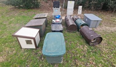 Crackdown on Unauthorized Cat Feeders Along Turtle Creek