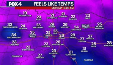 Dallas Weather: North Texas forecast 40-degree temperature swing; 'Extreme' pollen alert