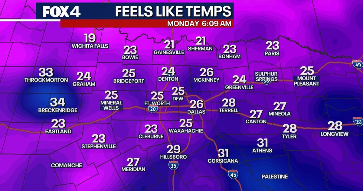 Dallas Weather: North Texas forecast 40-degree temperature swing; 'Extreme' pollen alert