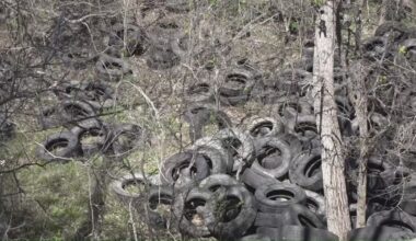Illegal tire dumping plagues two San Antonio River parks; Wilson County Sheriff investigates