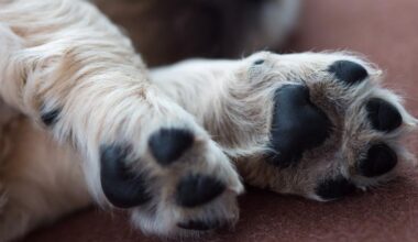 Yahoo lifestyle home