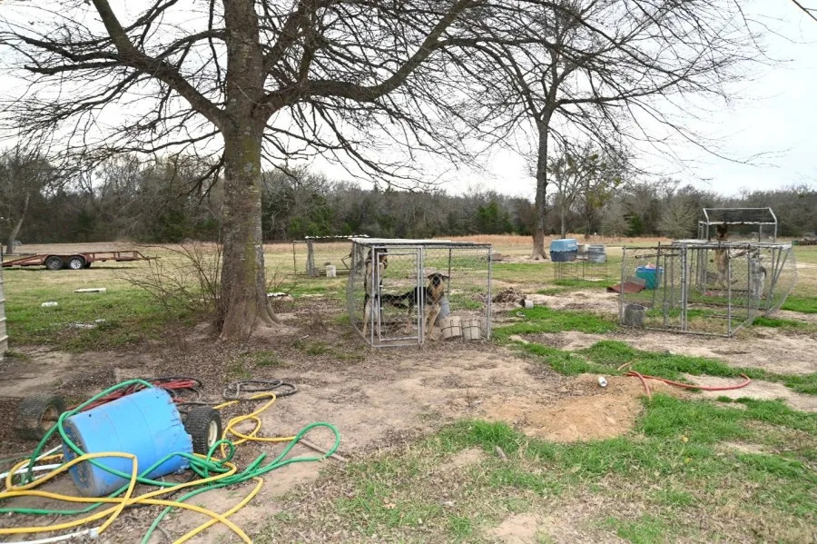 Courtesy of Easter District of Texas Court