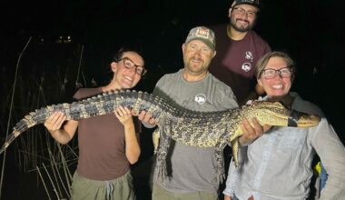 University students to study alligator population in Fort Worth | News
