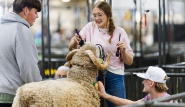 Experience the Excitement of the Houston Rodeo | Entertainment/Life
