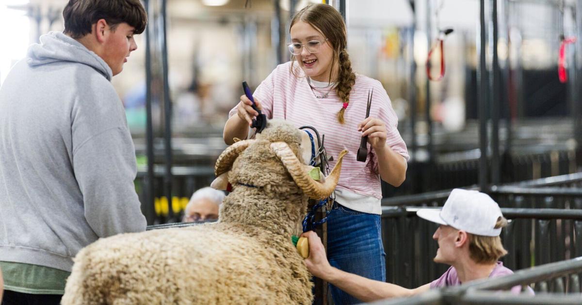Experience the Excitement of the Houston Rodeo | Entertainment/Life