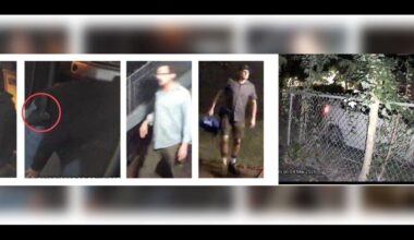 Austin police seek publics help in identifying window peeping suspect | North Texas