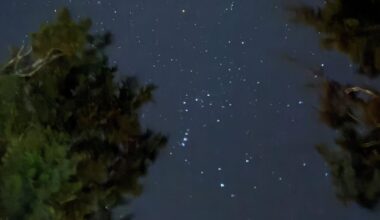 Jan Risher encounters a mountain lion in Texas Hill Country | Louisiana Inspired