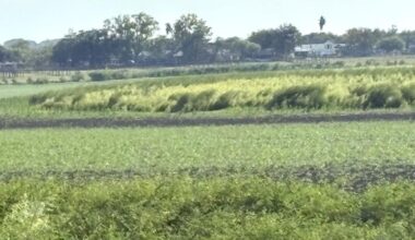 Water crisis – bad and getting worse; fortunately, Three Rivers has plans in place | The Progress