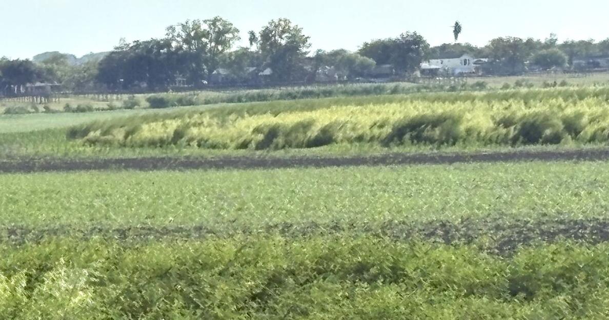 Water crisis – bad and getting worse; fortunately, Three Rivers has plans in place | The Progress