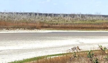 Three Rivers questions Corpus Christi over Choke Canyon water outlook | The Progress