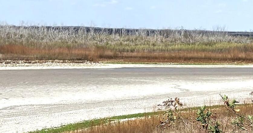 Three Rivers questions Corpus Christi over Choke Canyon water outlook | The Progress